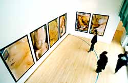 Gallery Installation