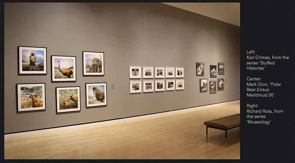 Gallery Interior